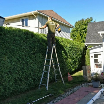 Hedge Trimming