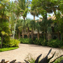 Landscape Ideas