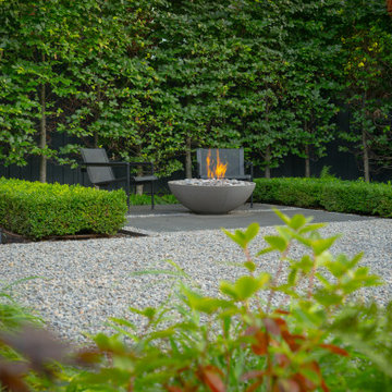 Contemporary Garden