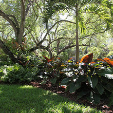 Backyard Landscaping