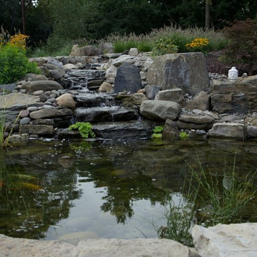 Stream and Koi Pond