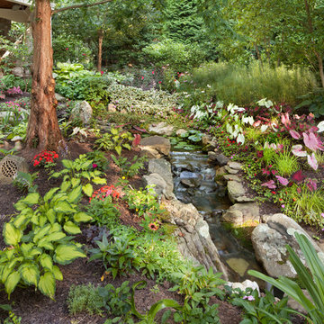 Natural Tranquility