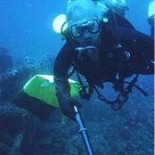 Fred Stout's photo