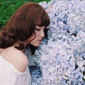 Phúc Võさんの写真