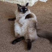 Chloe Cunningham's photo