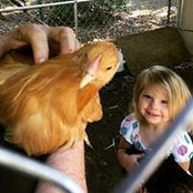 Joyce Nokes's photo
