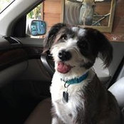 Gregory Bellman's photo