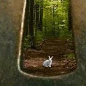 Foto von Renee Bacot