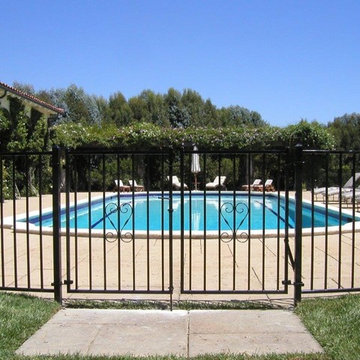 Ornamental Iron Pool Fence & Gate
