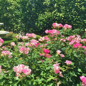 Formal Garden
