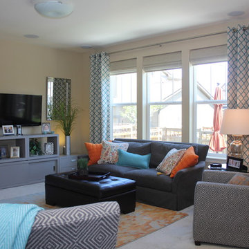 Living Room Redesigns