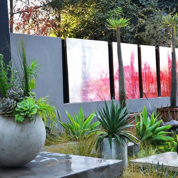 Water Wise Agave, succulent and grasses garden