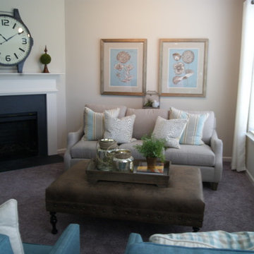 Model Home- Tight Budget
