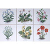 Flower Kiln Fired Ceramic Tile Poppies Morning Glories Decor, 6-Piece Set