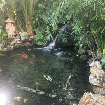Custom Ponds