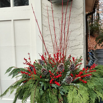 Festive Holiday Displays