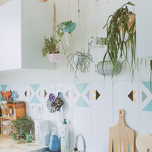 plantes de cuisine