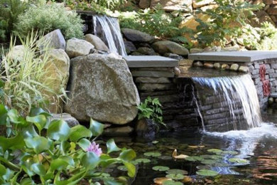 This is an example of a contemporary garden in Boston with a water feature.