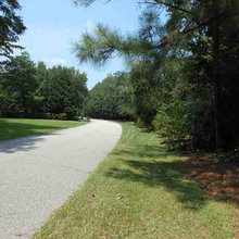 LAND! 4110 Byrnes Blvd Florence, SC 29506 $79,950