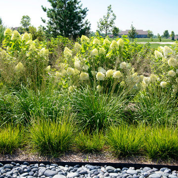 Contemporary New Home Landscape - Caledonia