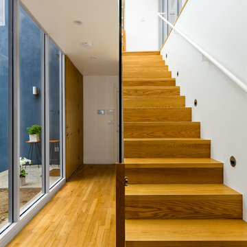 Venice, Ca | Dimster Architecture | Carroll House