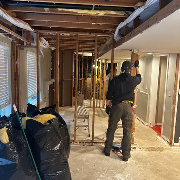 Federal Way Basement Remodel