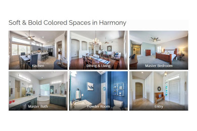 Soft & Bold Colored Spaces in Harmony