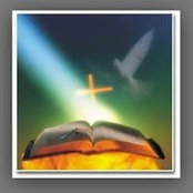 Joe Dunn's photo
