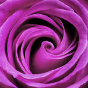 Peggy Sheng's photo