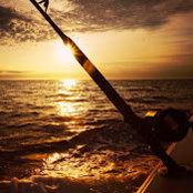 Jonathan Fernandez's photo