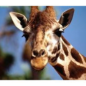 Trude Farrell's photo