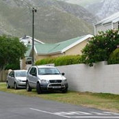 Peta Levin's photo