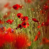Cindi Weymouth's photo