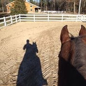 Stacy Shunk's photo