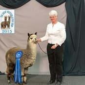 Suzanne Groeschl's photo