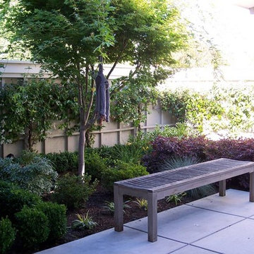 Landscape Design & Installation