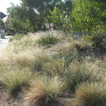 Natural Landscape in Northwest Hills