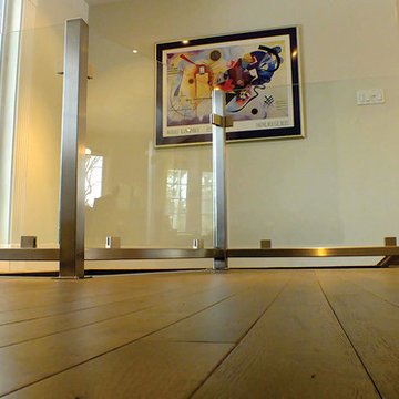 Stainless & Float Glass Railing