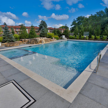 Arlington Heights, IL Swimming Pool and Hot Tub with Jump Rock