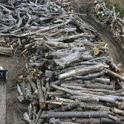firewood - Products