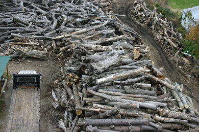 firewood
