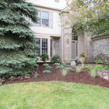 Landscape Renovation