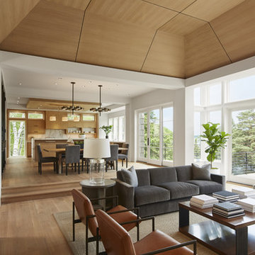 Wayzata Modern