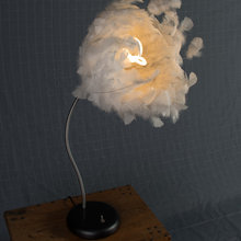 lumière