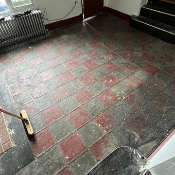 Installation: Luxury Vinyl Plank & Laminate