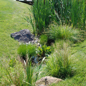 Drainage and Water Management
