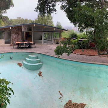 Eichler Backyard Renovation