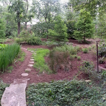 Rain Garden Installations
