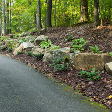 VA Landscape