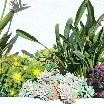 Design- Coastal, Huntington Beach, CA